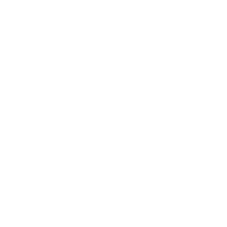 Dreamstudios Logo